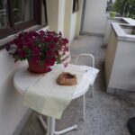 Bona Fides Nekretnine NOVA