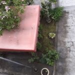 Bona Fides Nekretnine NOVA