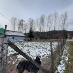 Bona Fides Nekretnine NOVA