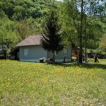 Bona Fides Nekretnine NOVA
