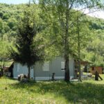 Bona Fides Nekretnine NOVA