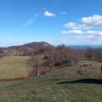 Bona Fides Nekretnine NOVA