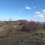 Bona Fides Nekretnine NOVA