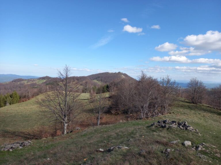Bona Fides Nekretnine NOVA