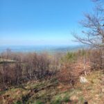 Bona Fides Nekretnine NOVA