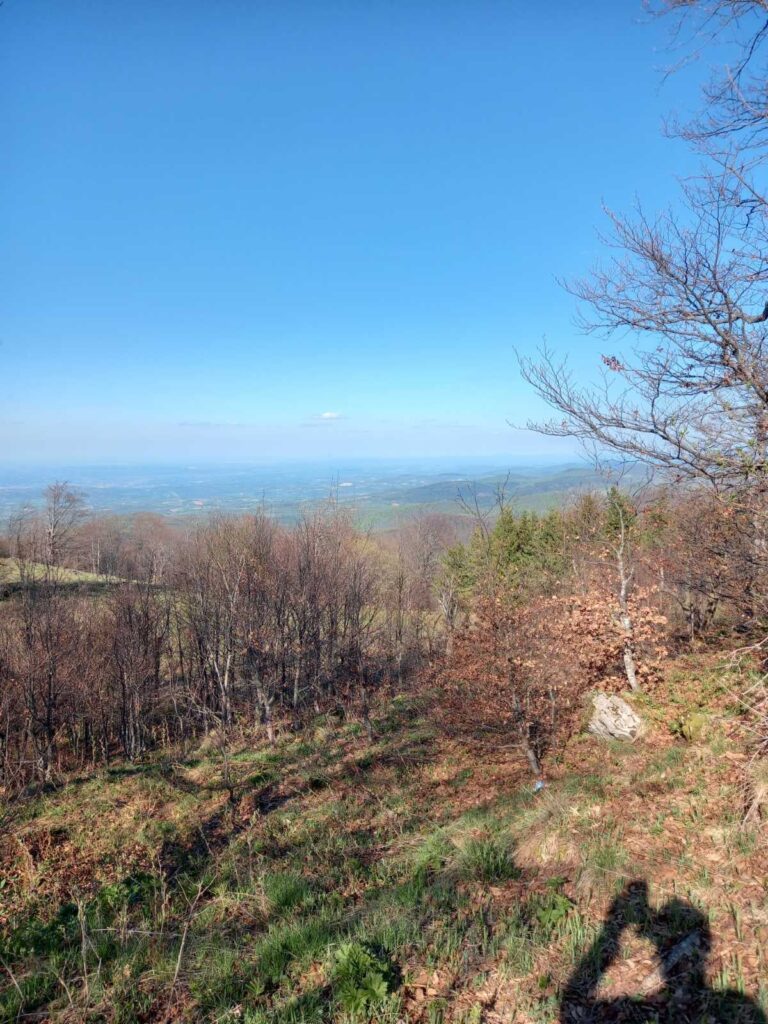 Bona Fides Nekretnine NOVA
