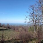 Bona Fides Nekretnine NOVA