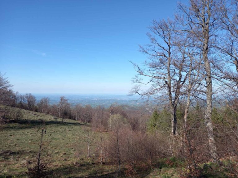 Bona Fides Nekretnine NOVA