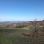 Bona Fides Nekretnine NOVA