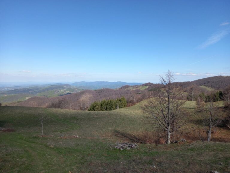 Bona Fides Nekretnine NOVA