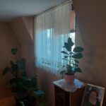 Bona Fides Nekretnine NOVA