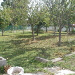 Bona Fides Nekretnine NOVA