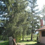 Bona Fides Nekretnine NOVA