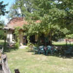 Bona Fides Nekretnine NOVA