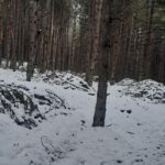 Bona Fides Nekretnine NOVA