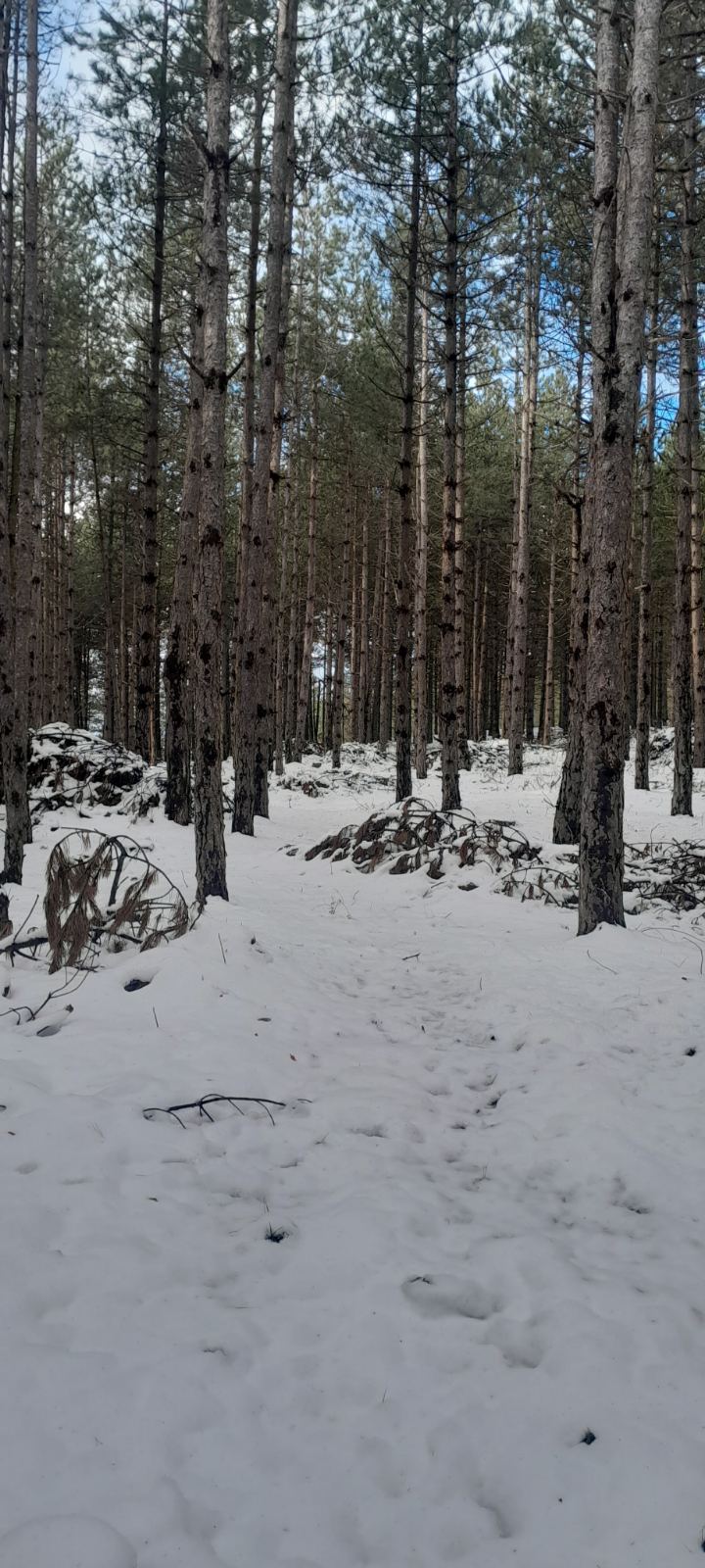 Bona Fides Nekretnine NOVA