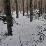 Bona Fides Nekretnine NOVA