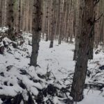 Bona Fides Nekretnine NOVA