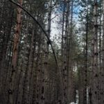 Bona Fides Nekretnine NOVA