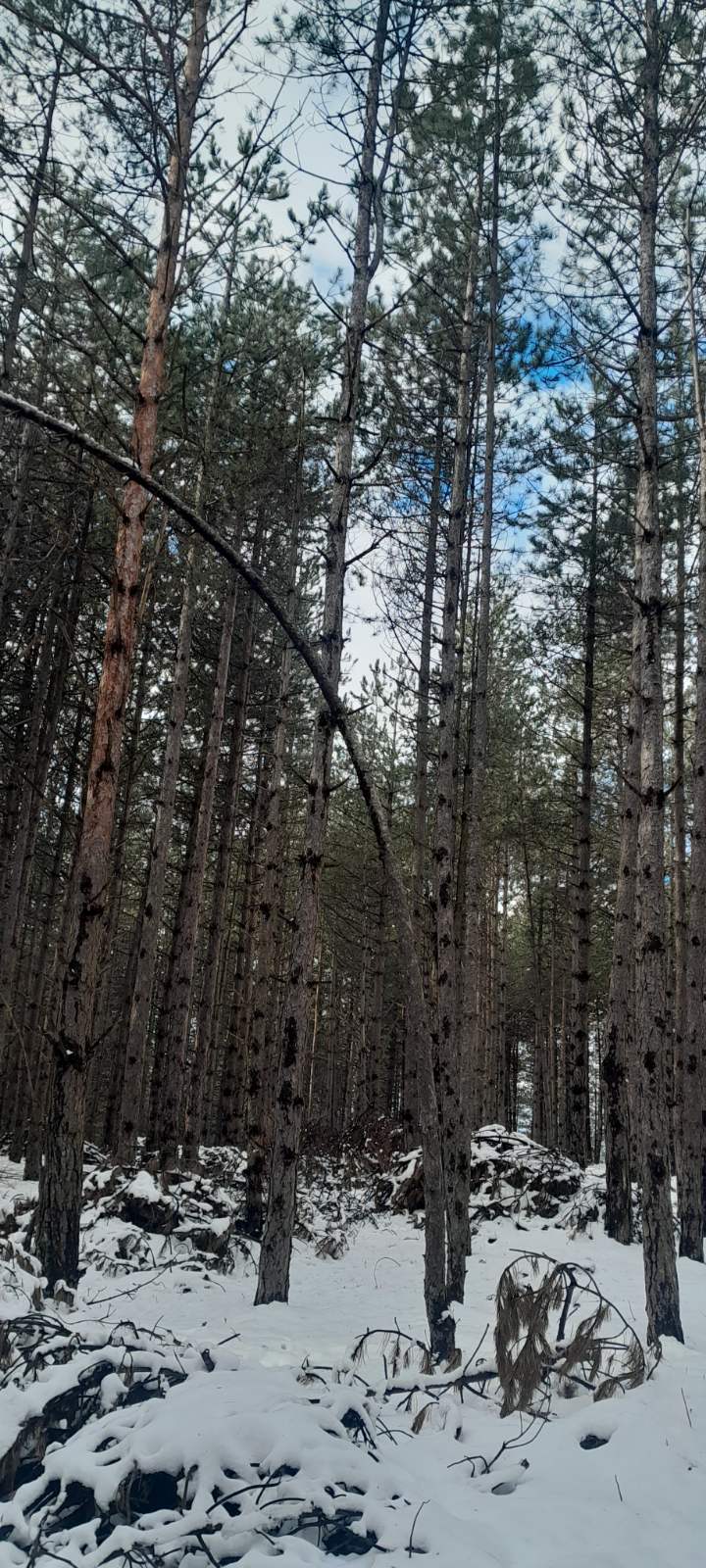 Bona Fides Nekretnine NOVA