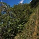 Bona Fides Nekretnine NOVA