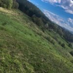Bona Fides Nekretnine NOVA