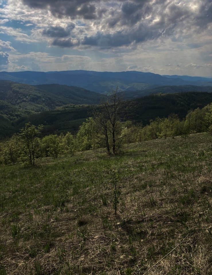 Bona Fides Nekretnine NOVA