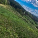 Bona Fides Nekretnine NOVA