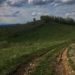 Bona Fides Nekretnine NOVA