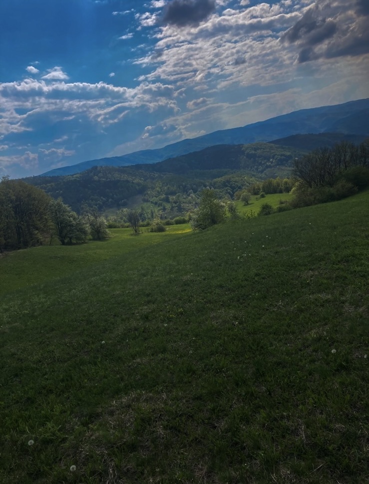 Bona Fides Nekretnine NOVA