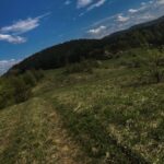 Bona Fides Nekretnine NOVA
