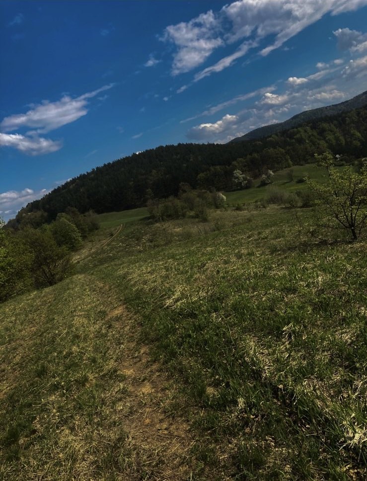 Bona Fides Nekretnine NOVA