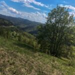 Bona Fides Nekretnine NOVA