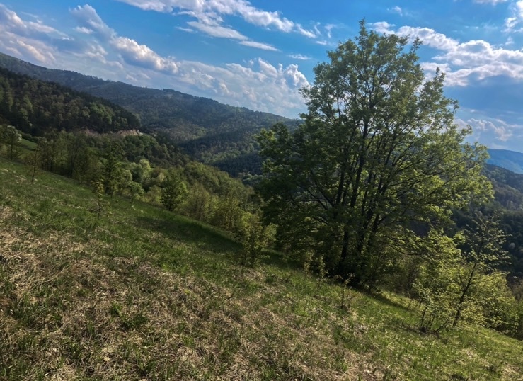 Bona Fides Nekretnine NOVA