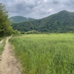 Bona Fides Nekretnine NOVA