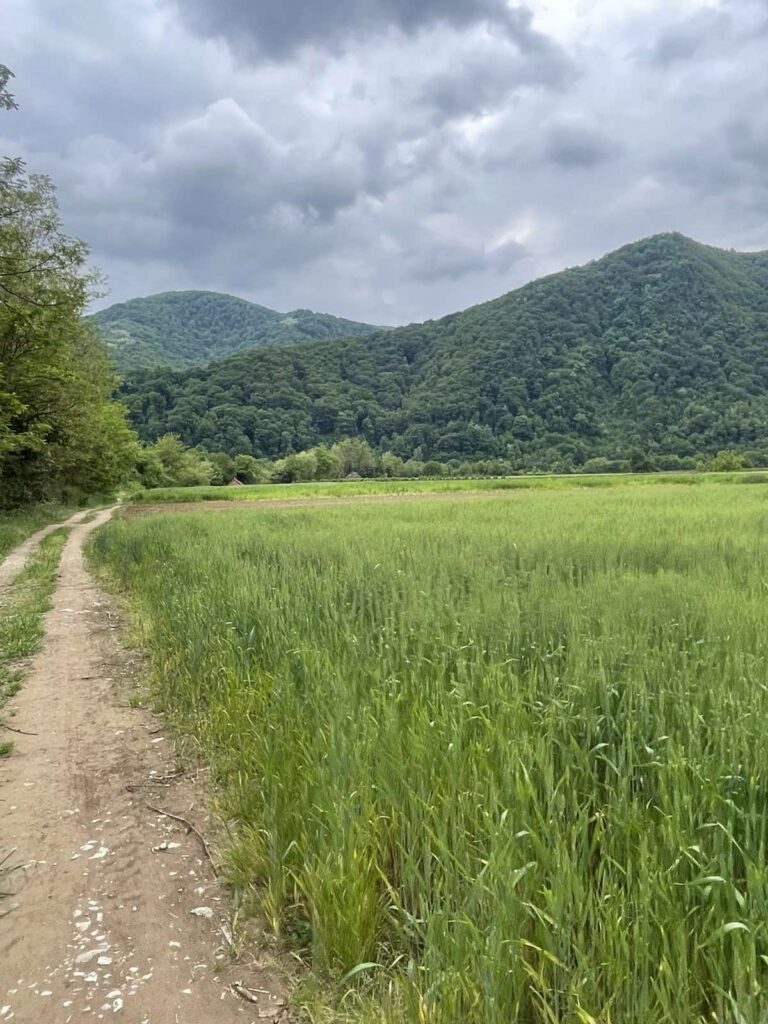 Bona Fides Nekretnine NOVA