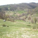 Bona Fides Nekretnine NOVA