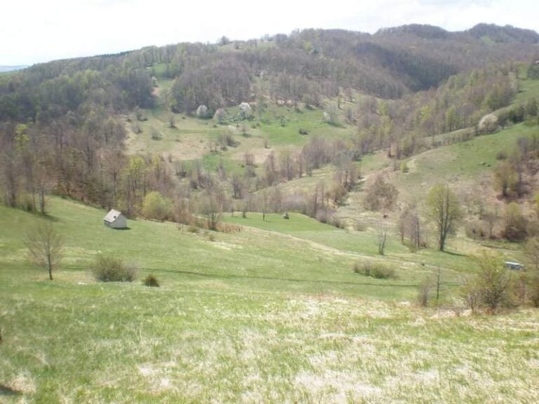 Bona Fides Nekretnine NOVA