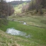 Bona Fides Nekretnine NOVA