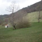 Bona Fides Nekretnine NOVA