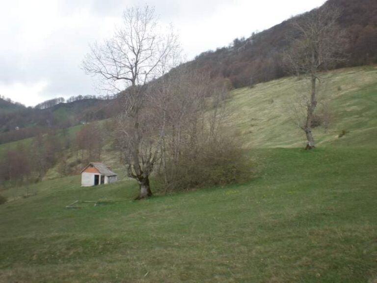 Bona Fides Nekretnine NOVA