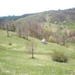 Bona Fides Nekretnine NOVA