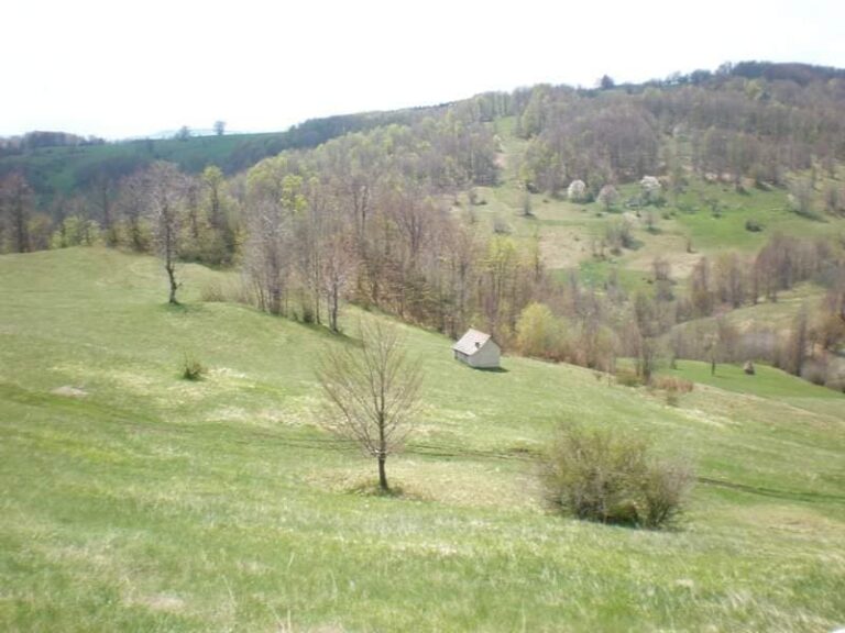Bona Fides Nekretnine NOVA