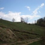 Bona Fides Nekretnine NOVA