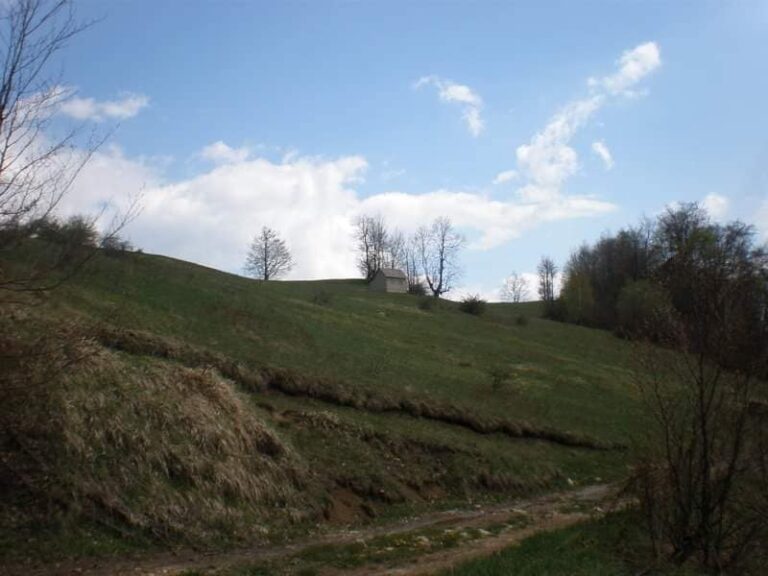 Bona Fides Nekretnine NOVA