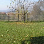 Bona Fides Nekretnine NOVA