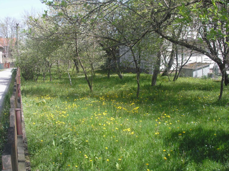 Bona Fides Nekretnine NOVA