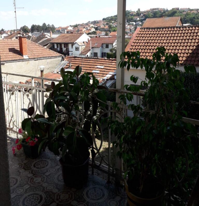 Bona Fides Nekretnine NOVA