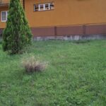 Bona Fides Nekretnine NOVA